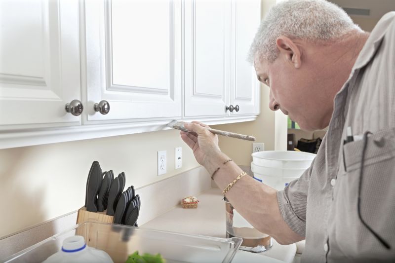 Local Kitchen Cabinet Painting pros at work