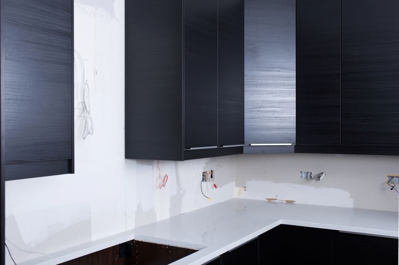 Kitchen Cabinet Painting